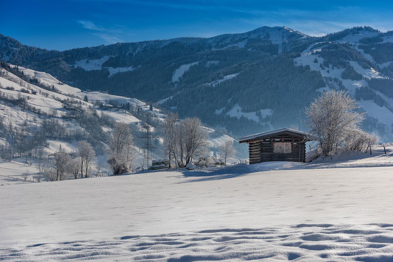 die UnterbergerIn Dorfgastein Exterior foto